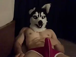 Hard Gay XXX Videos